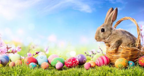 O coelho e os ovos foram símbolos agregados à Páscoa a partir da influência de outras culturas
