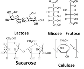 Estruturas de carboidratos (lactose, glicose, frutose, sacarose e celulose)