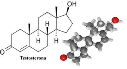 Imagem da fórmula da testosterona