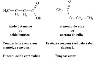 Isomeria de função entre um éster e um ácido carboxílico