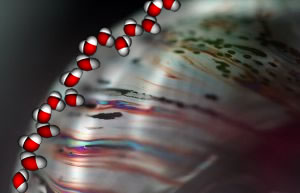 Ligações de hidrogênio entre moléculas de água em bolha de sabão